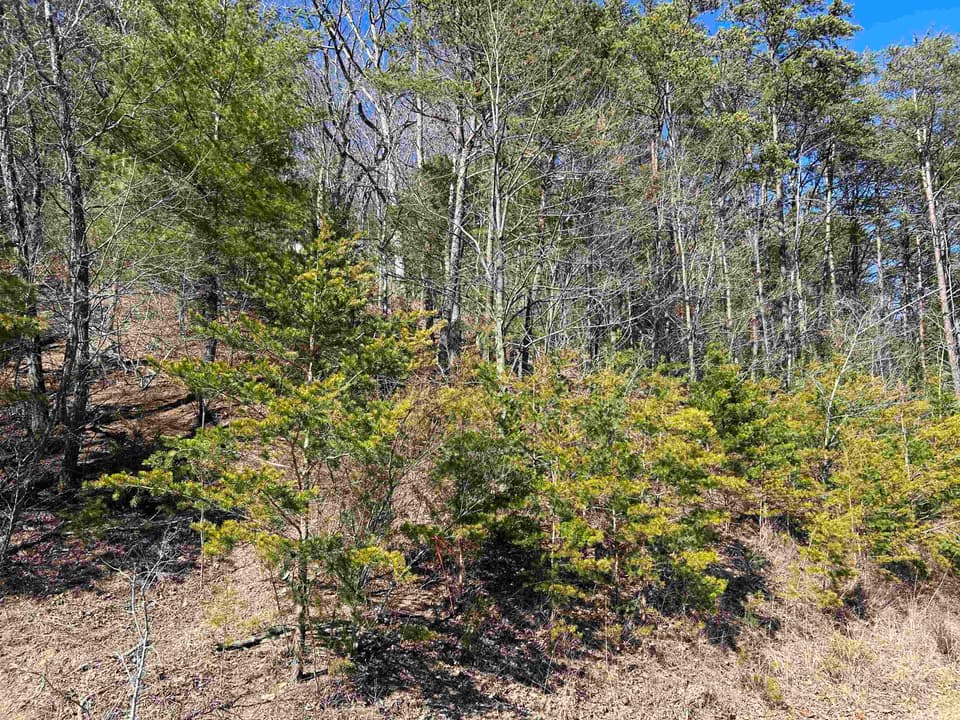 4266 Craig Creek Road, Blacksburg, VA 24060 | Sold $260,900