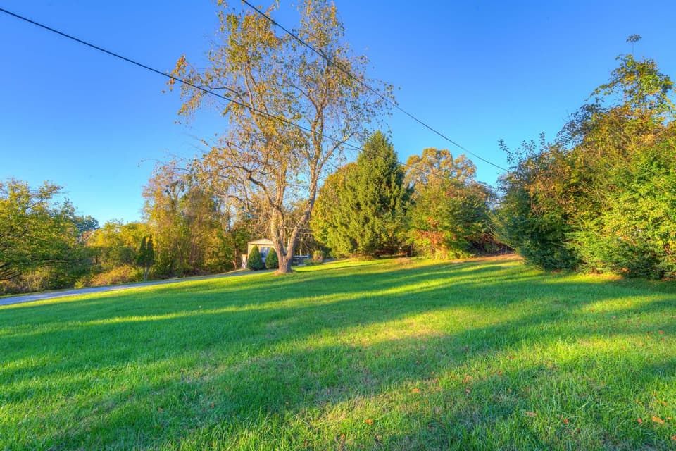 461 Bee Lane, photo 19 of 22